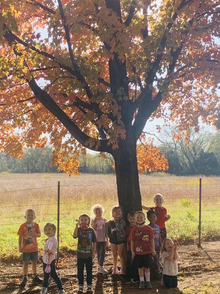 Preschool under a tree changing colors