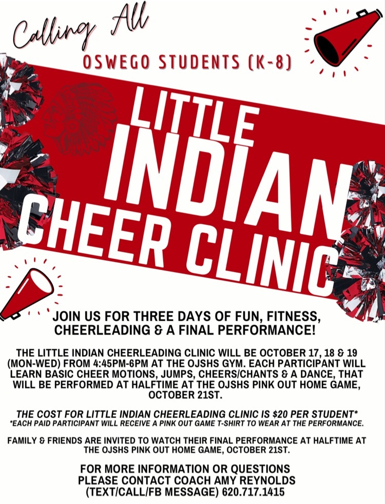 Little Indians Cheer Clinic